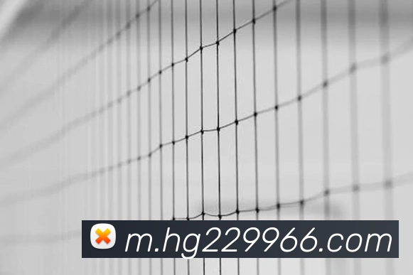 奖项图3